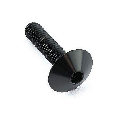 PRO-BOLT ΒΙΔΑ ΤΙΤΑΝΙΟΥ ΠΛΑΤΥΚΕΦΑΛΗ M6x(1.00mm)x25mm