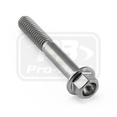 PRO-BOLT ΒΙΔΑ ΤΙΤΑΝΙΟΥ ΕΞΑΓΩΝΗ M6x(1.00mm)x40mm