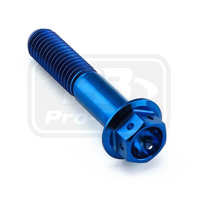 PRO-BOLT ΒΙΔΑ ΤΙΤΑΝΙΟΥ ΕΞΑΓΩΝΗ M8x(1.25mm)x40mm - Race Spec