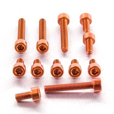 PRO-BOLT ΒΙΔΕΣ ΑΛΟΥΜΙΝΙΟΥ ΣΕΤ ΡΕΖΕΡΒΟΥΑΡ KTM Adventurer 990