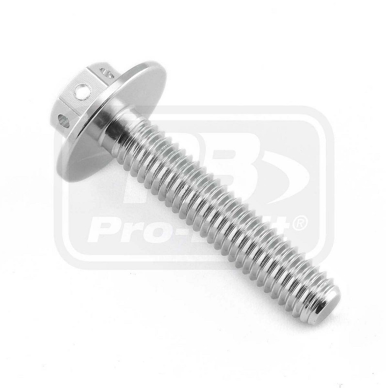 ΒΙΔΕΣ ΕΞΑΓΩΝΕΣ (ΧΑΡΑΓΜΕΝΕΣ) PRO-BOLT Aluminium Flanged Hex Bodywork Bolt M6x(1.00mm)x30mm Race Spec Etched (LBWHX630RE)