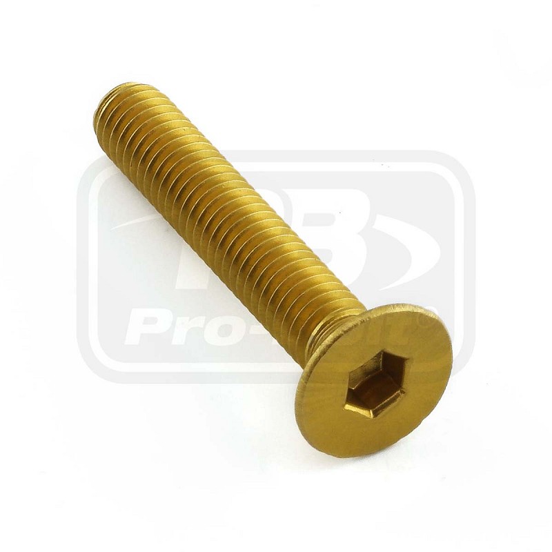 PRO-BOLT ΒΙΔΕΣ ΦΡΕΖΑΤΕΣ ΑΛΟΥΜΙΝΙΟΥ M6x(1.00mm)x35mm