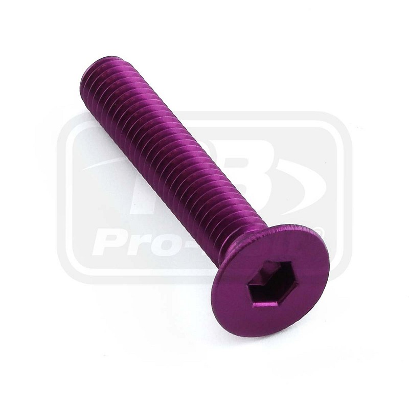 PRO-BOLT ΒΙΔΕΣ ΦΡΕΖΑΤΕΣ ΑΛΟΥΜΙΝΙΟΥ M6x(1.00mm)x35mm