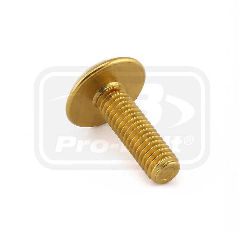 ΒΙΔΕΣ ΠΛΑΤΥΚΕΦΑΛΕΣ PRO-BOLT Aluminium Dome Head Bolt M6x(1.00mm)x20mm (LFB620)
