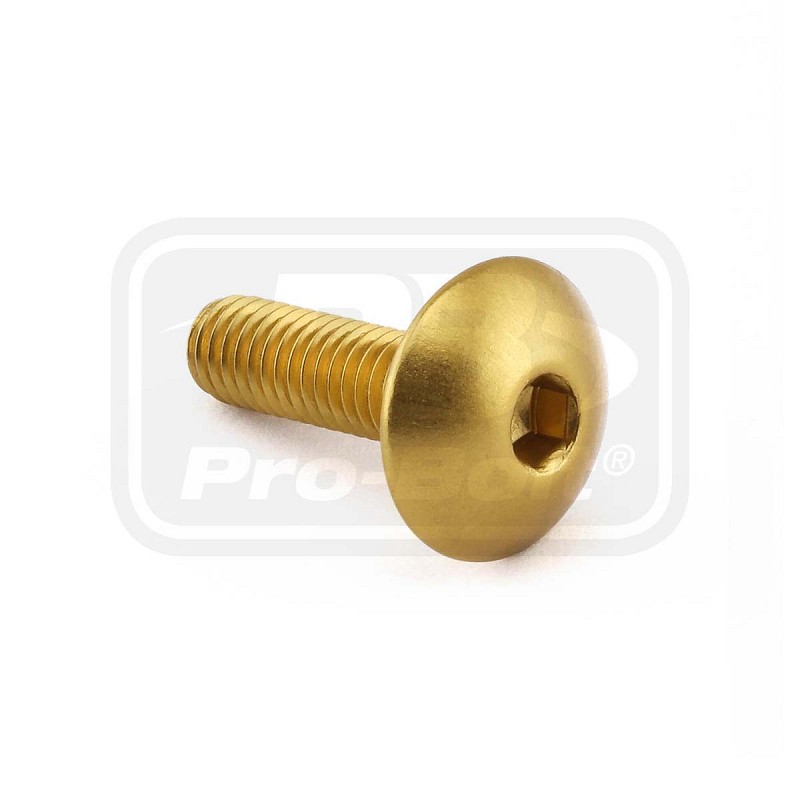 ΒΙΔΕΣ ΠΛΑΤΥΚΕΦΑΛΕΣ PRO-BOLT Aluminium Dome Head Bolt M6x(1.00mm)x20mm (LFB620)