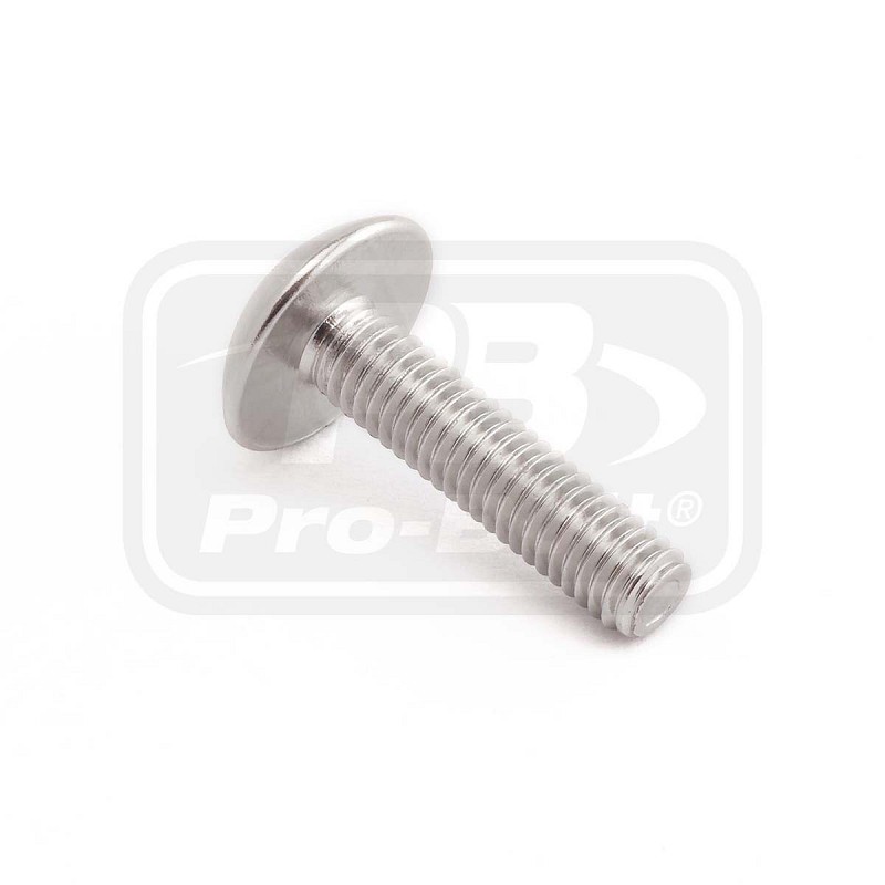 ΒΙΔΕΣ ΠΛΑΤΥΚΕΦΑΛΕΣ PRO-BOLT Aluminium Dome Head Bolt M6x(1.00mm)x25mm (LFB625)