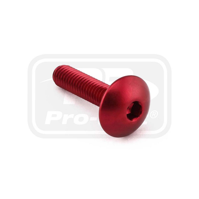 ΒΙΔΕΣ ΠΛΑΤΥΚΕΦΑΛΕΣ PRO-BOLT Aluminium Dome Head Bolt M6x(1.00mm)x25mm (LFB625)
