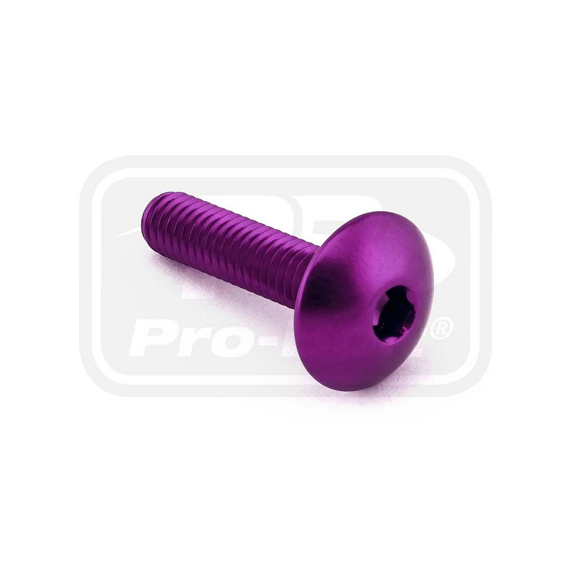 ΒΙΔΕΣ ΠΛΑΤΥΚΕΦΑΛΕΣ PRO-BOLT Aluminium Dome Head Bolt M6x(1.00mm)x25mm (LFB625)