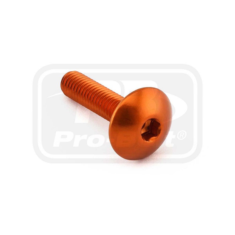 ΒΙΔΕΣ ΠΛΑΤΥΚΕΦΑΛΕΣ PRO-BOLT Aluminium Dome Head Bolt M6x(1.00mm)x25mm (LFB625)