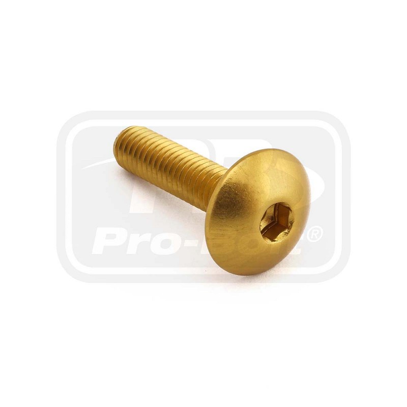 ΒΙΔΕΣ ΠΛΑΤΥΚΕΦΑΛΕΣ PRO-BOLT Aluminium Dome Head Bolt M6x(1.00mm)x25mm (LFB625)