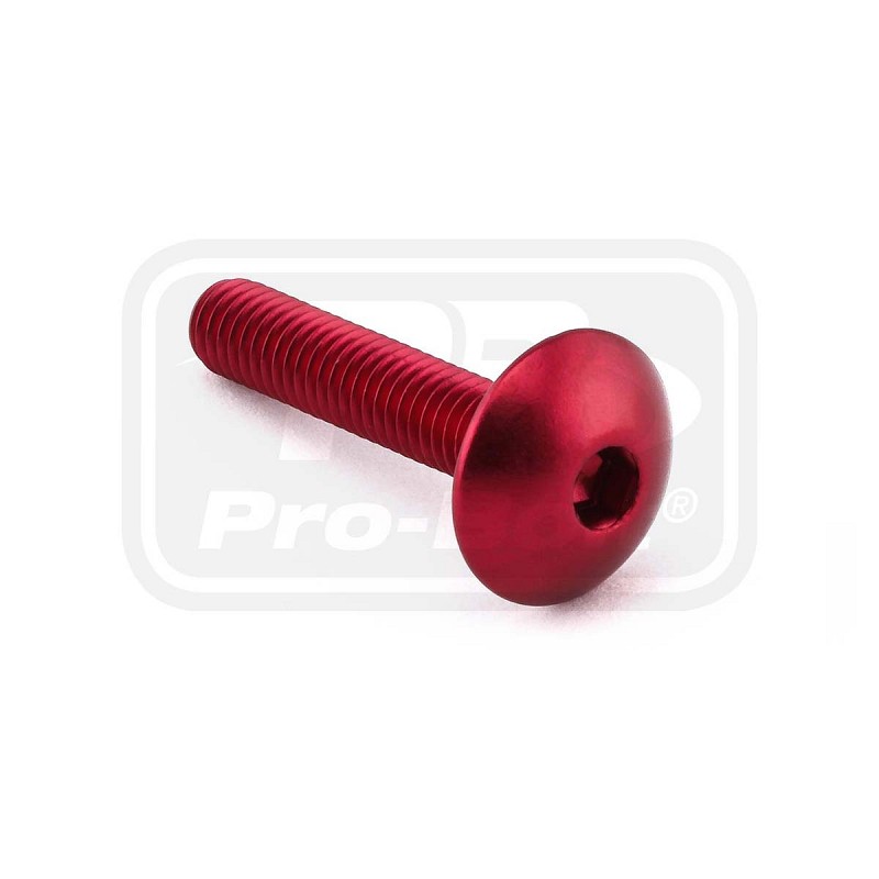 ΒΙΔΕΣ ΠΛΑΤΥΚΕΦΑΛΕΣ PRO-BOLT Aluminium Dome Head Bolt M6x(1.00mm)x30mm (LFB630)