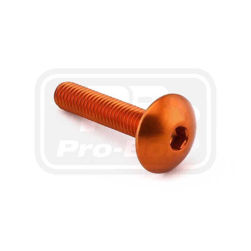 ΒΙΔΕΣ ΠΛΑΤΥΚΕΦΑΛΕΣ PRO-BOLT Aluminium Dome Head Bolt M6x(1.00mm)x30mm (LFB630)