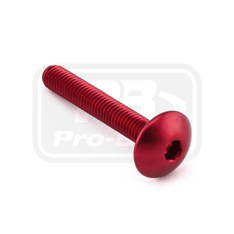 ΒΙΔΕΣ ΠΛΑΤΥΚΕΦΑΛΕΣ PRO-BOLT Aluminium Dome Head Bolt M6x(1.00mm)x40mm (LFB640)