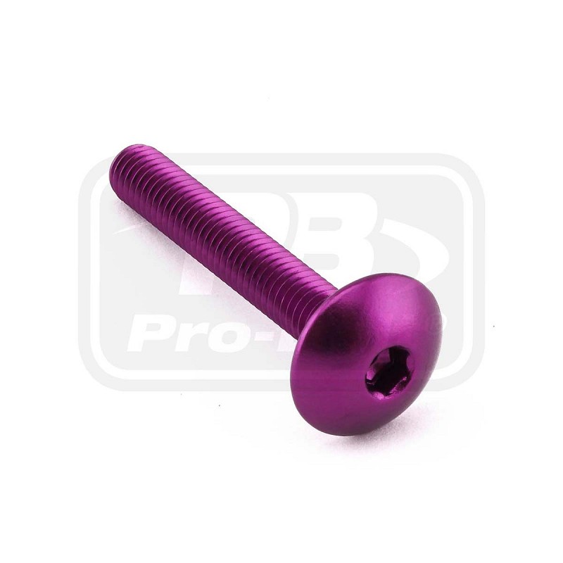 ΒΙΔΕΣ ΠΛΑΤΥΚΕΦΑΛΕΣ PRO-BOLT Aluminium Dome Head Bolt M6x(1.00mm)x40mm (LFB640)