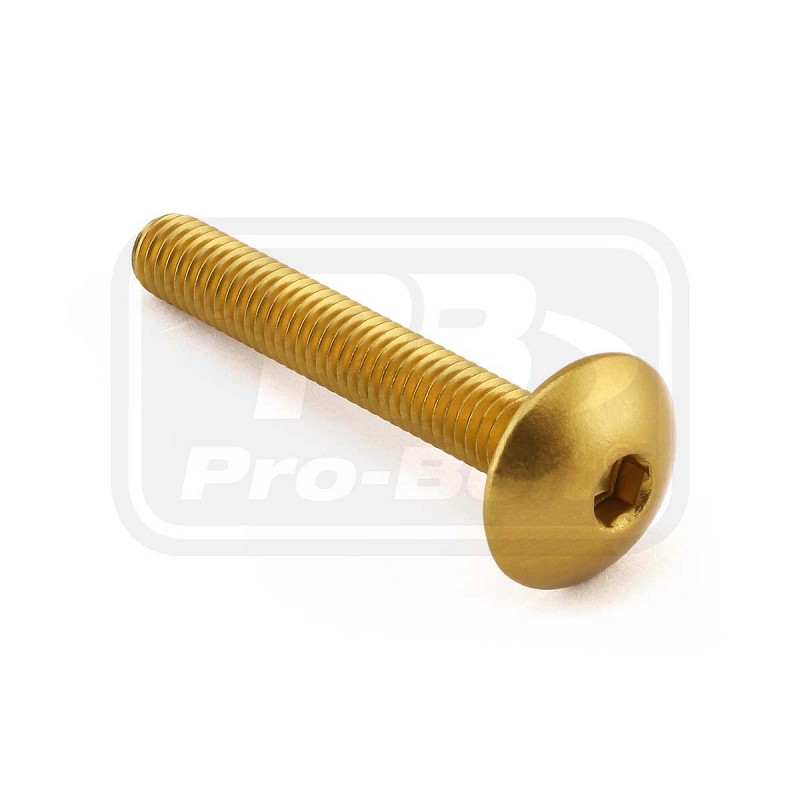 ΒΙΔΕΣ ΠΛΑΤΥΚΕΦΑΛΕΣ PRO-BOLT Aluminium Dome Head Bolt M6x(1.00mm)x40mm (LFB640)