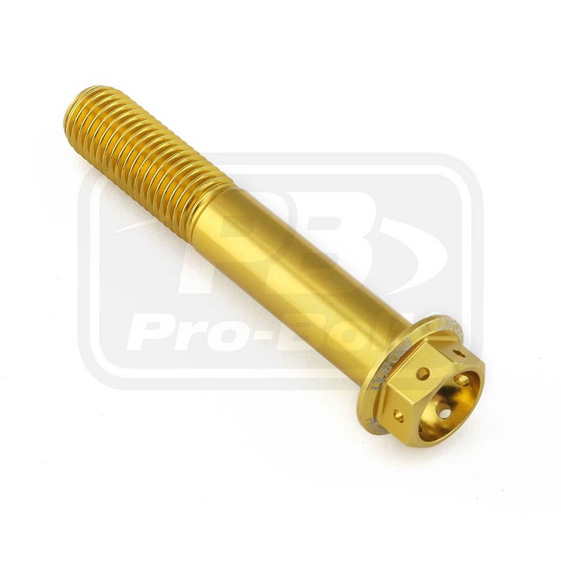 ΒΙΔΕΣ ΕΞΑΓΩΝΕΣ (ΧΑΡΑΓΜΕΝΕΣ) PRO-BOLT Aluminium Flanged Hex Head Bolt M10x(1.25mm)x60mm Race Spec Etched (LHX1060FRE)