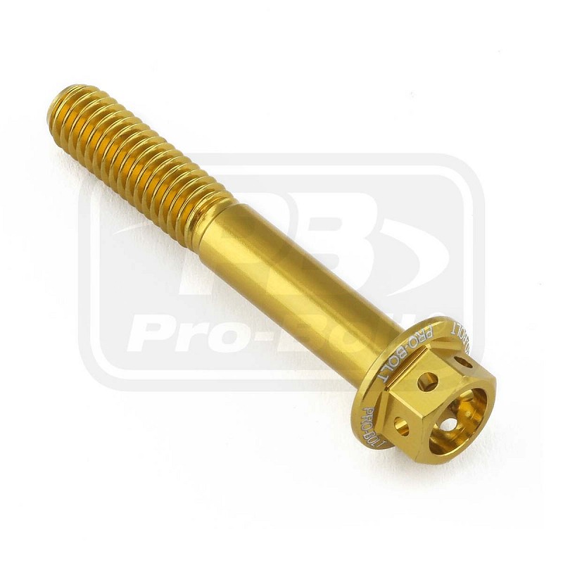 ΒΙΔΕΣ ΕΞΑΓΩΝΕΣ (ΧΑΡΑΓΜΕΝΕΣ) PRO-BOLT Aluminium Flanged Hex Head Bolt M6x(1.00mm)x40mm Race Spec Etched (LHX640RE)