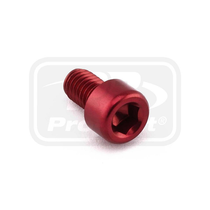 PRO-BOLT ΒΙΔΕΣ ΑΛΛΕΝ ΑΛΟΥΜΙΝΙΟΥ M6x(1.00mm)x10mm