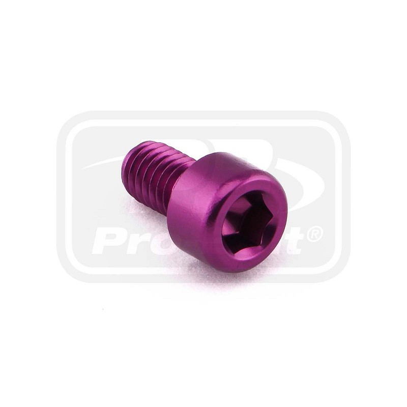 PRO-BOLT ΒΙΔΕΣ ΑΛΛΕΝ ΑΛΟΥΜΙΝΙΟΥ M6x(1.00mm)x10mm