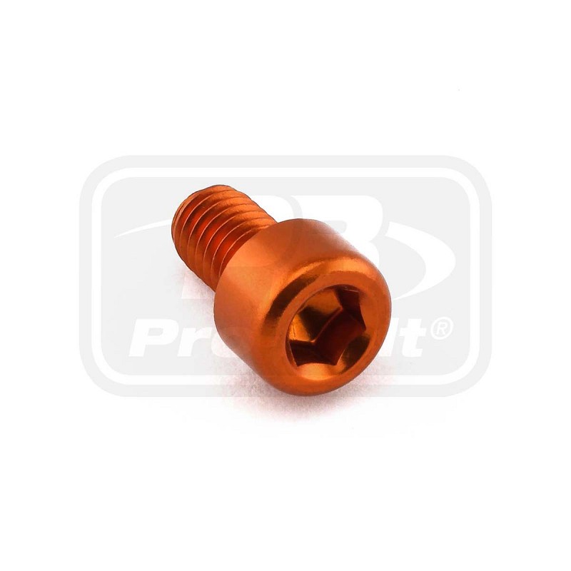 PRO-BOLT ΒΙΔΕΣ ΑΛΛΕΝ ΑΛΟΥΜΙΝΙΟΥ M6x(1.00mm)x10mm