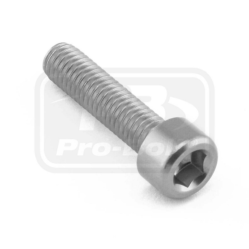 PRO-BOLT ΒΙΔΕΣ ΑΛΛΕΝ ΑΛΟΥΜΙΝΙΟΥ M6x(1.00mm)x25mm