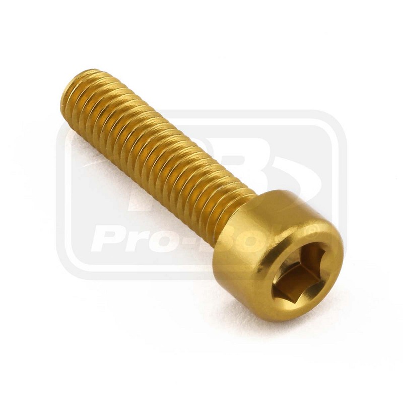 PRO-BOLT ΒΙΔΕΣ ΑΛΛΕΝ ΑΛΟΥΜΙΝΙΟΥ M6x(1.00mm)x25mm
