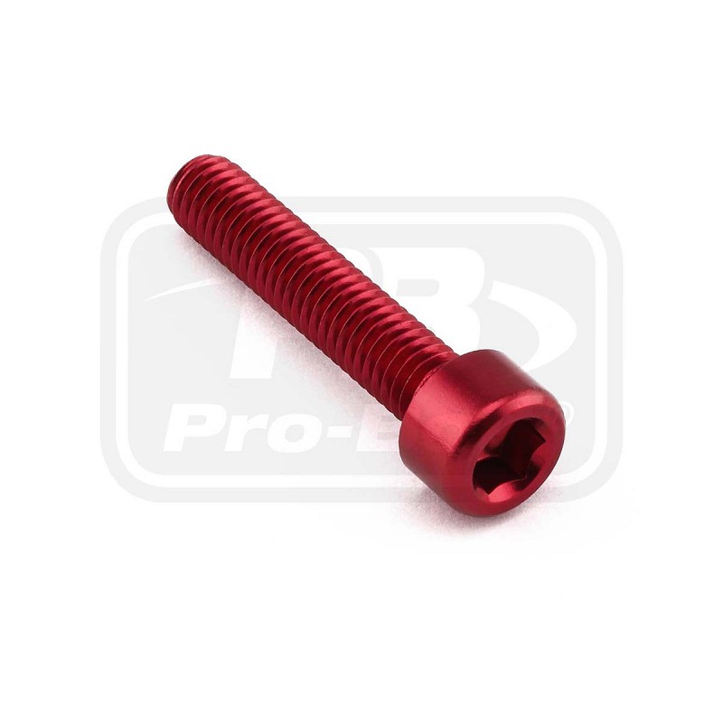 PRO-BOLT ΒΙΔΕΣ ΑΛΛΕΝ ΑΛΟΥΜΙΝΙΟΥ M6x(1.00mm)x30mm