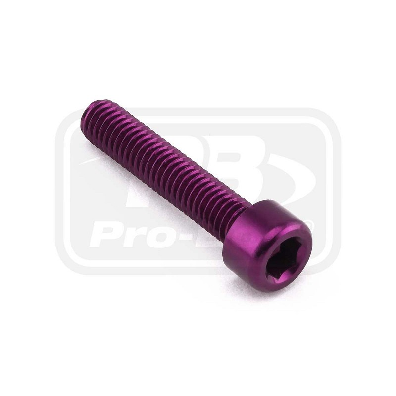 PRO-BOLT ΒΙΔΕΣ ΑΛΛΕΝ ΑΛΟΥΜΙΝΙΟΥ M6x(1.00mm)x30mm