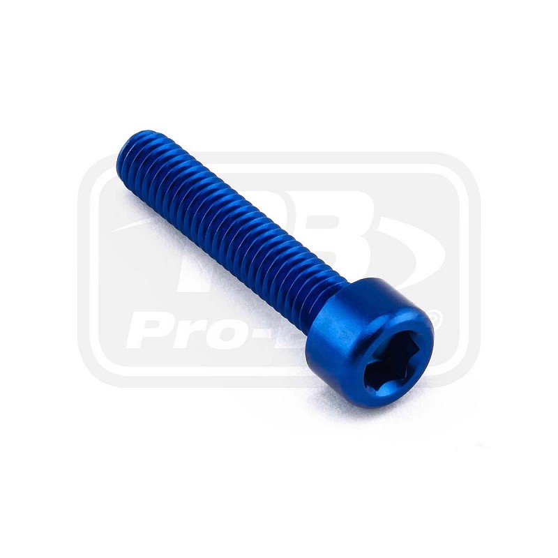 PRO-BOLT ΒΙΔΕΣ ΑΛΛΕΝ ΑΛΟΥΜΙΝΙΟΥ M6x(1.00mm)x30mm