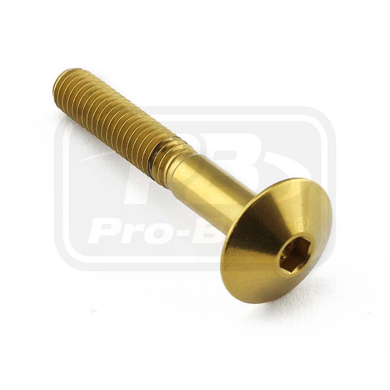 PRO-BOLT ΒΙΔΑ ΑΝΟΞΕΙΔΩΤΗ ΠΛΑΤΥΚΕΦΑΛΗ M6x(1.00mm)x40mm