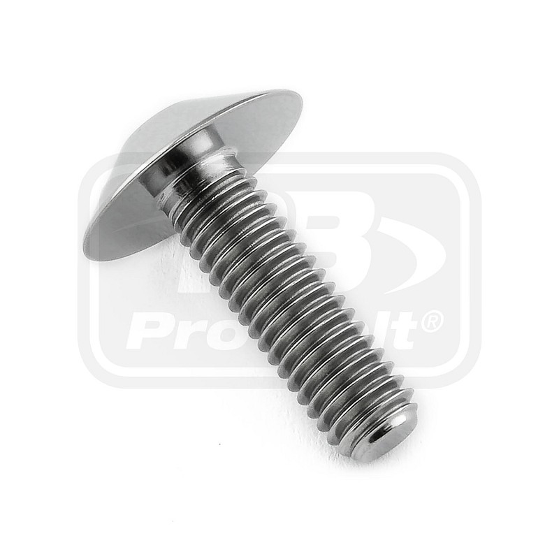 PRO-BOLT ΒΙΔΑ ΤΙΤΑΝΙΟΥ ΠΛΑΤΥΚΕΦΑΛΗ M6x(1.00mm)x20mm