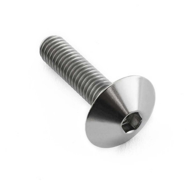 PRO-BOLT ΒΙΔΑ ΤΙΤΑΝΙΟΥ ΠΛΑΤΥΚΕΦΑΛΗ M6x(1.00mm)x25mm