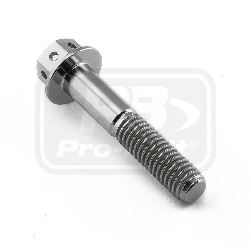 PRO-BOLT ΒΙΔΑ ΤΙΤΑΝΙΟΥ ΕΞΑΓΩΝΗ M6x(1.00mm)x32mm - Race Spec