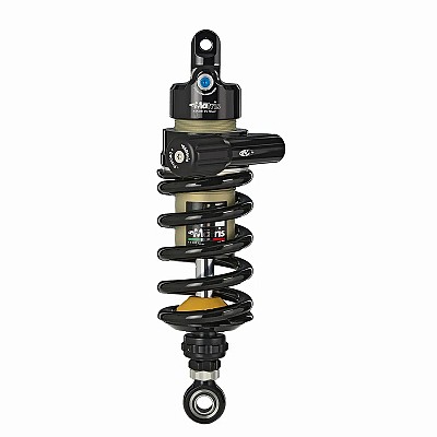 BMW F 750GS (K80) 17/21