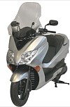 FABBRI Ανεμοθώρακας-Ζελατίνα FORZA 250 2008/11 (2545/E-X)