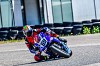 FABBRI Ανεμοθώρακας-Ζελατίνα TROFEO YAMAHA MOTO YZF R1 - R1M (2015/2019) (YR1M15W/C)