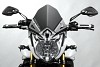 De Pretto Moto ΖελατίναWARRIOR YAMAHA FZ8 2010/15