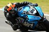 FABBRI Ανεμοθώρακας-Ζελατίνα BMW S1000RR (2015-2018) TT (TOURIST TROPHY) - BSBK (BRITISH SBK) (BDBRACE15)