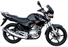 FABBRI Ανεμοθώρακας-Ζελατίνα NAKED CAFÉ RACER ΕΛΑΦΡΥ ΦΙΜΕ YAMAHA YBR 125 / 250 07-10 (Y113/LS)