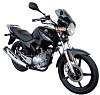 FABBRI Ανεμοθώρακας-Ζελατίνα NAKED CAFÉ RACER ΕΛΑΦΡΥ ΦΙΜΕ YAMAHA YBR 125 / 250 07-10 (Y113/LS)